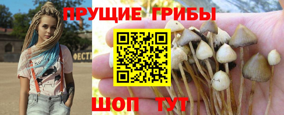 Галлюциногенные грибы Magic Shrooms Уссурийск